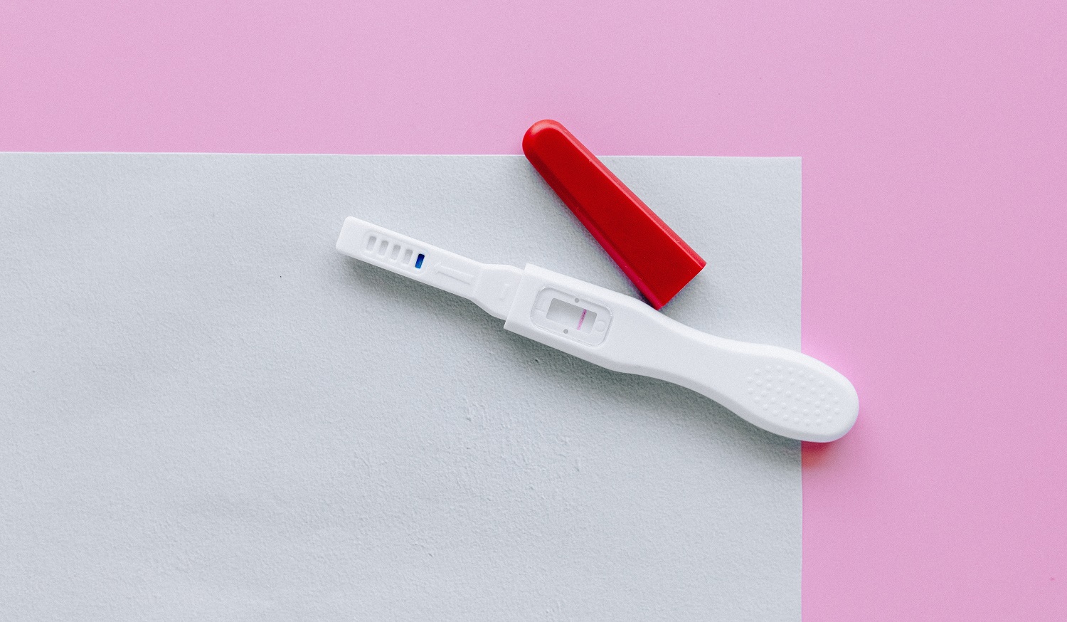 False Pregnancy or Pseudopregnancy in Dogs