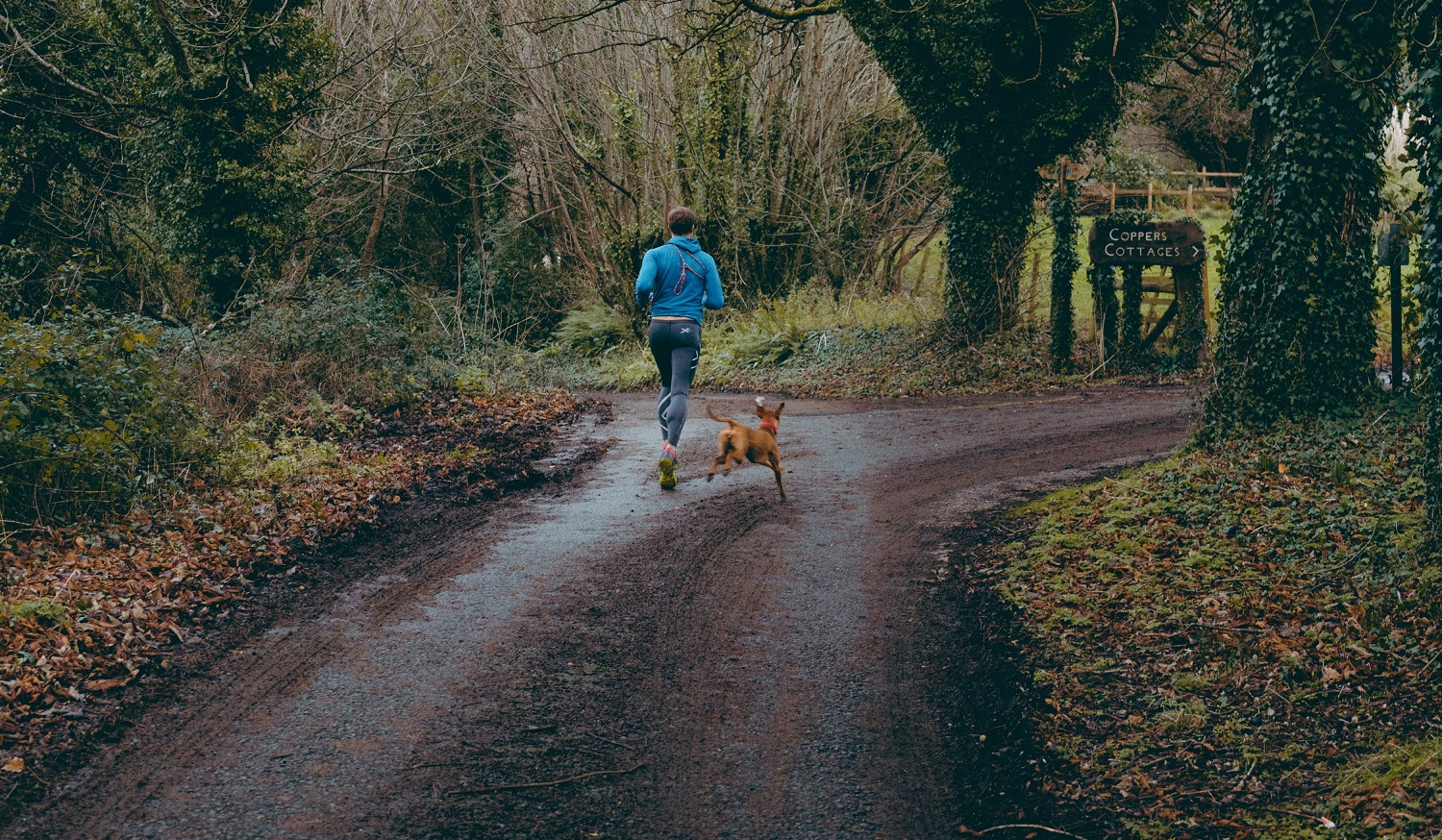 How to run with your dog